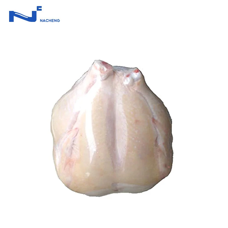 What Makes a Vacuum Shrink Bag Essential for Packaging Efficiency?
